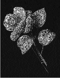 Fersman Plate XVI: Diamond Rose Brooch, 1820-30 No. 21