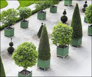 Topiaries in the Versailles Gardens (Courtesy Gardenista)