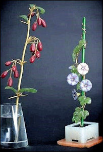 Faberge Flowers: Barberry Bush Sprig & Morning Glory