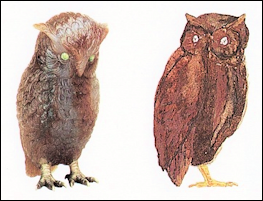 nl2025fallandwinter12