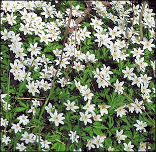 nl2025fallandwinter6